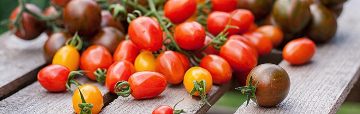 Tomaten